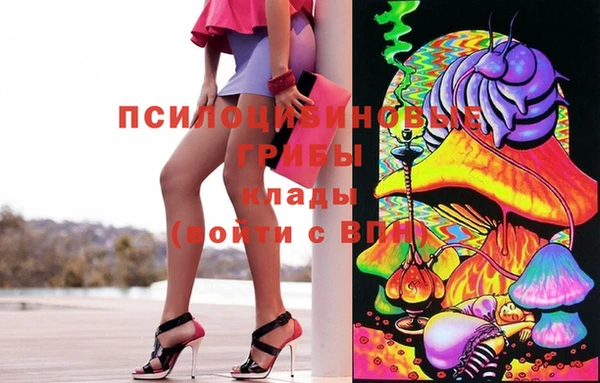 индика Абдулино