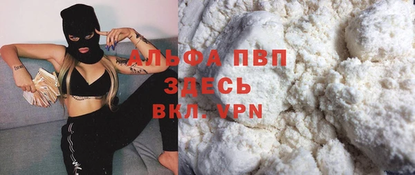 индика Абдулино