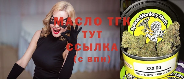 индика Абдулино